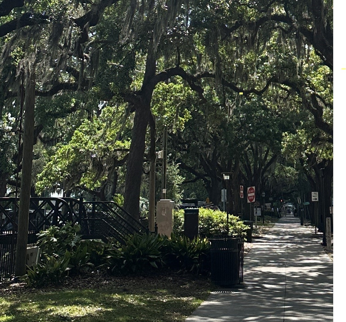 Spring Summit 2025 Reflecting Refueling and Reimagining in Savannah